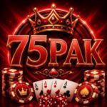 75PAK Game