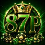 87P Game