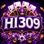 HI309 Game